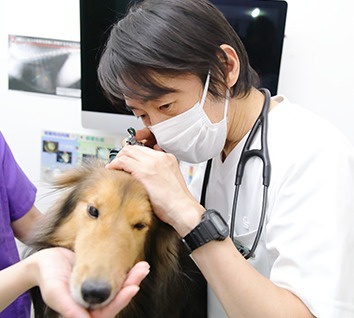 当院のコンセプト